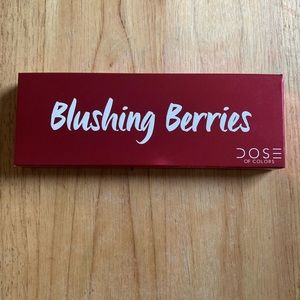 Blushing Berries matte eyeshadow palette